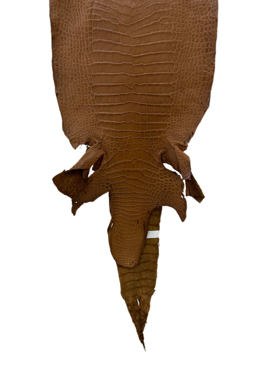 31 cm Grade 2/3 Kango Tabac Matte Wild American Alligator Leather - Tag: LA18-0037347