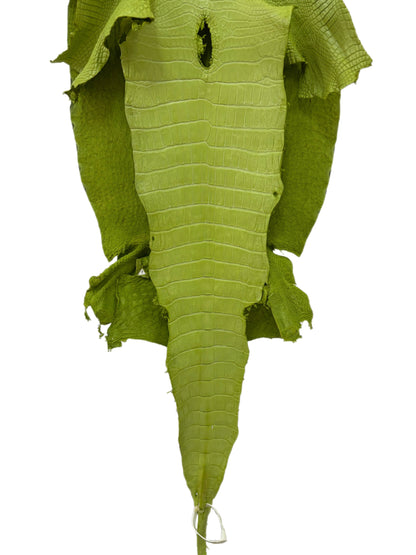 37 cm Grade 3/4 Chartreuse Matte Wild American Alligator Leather - Tag: LA23-0003429