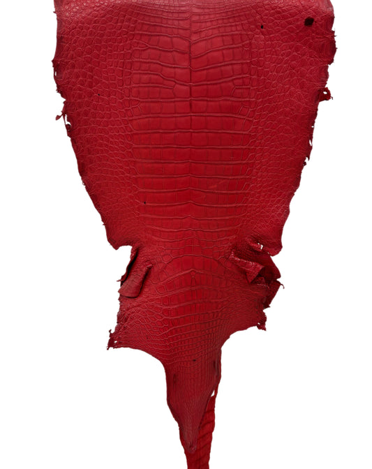 44 cm Grade 4/5 Candy Apple Red Matte Wild American Alligator Leather - Tag: LA23-0010982
