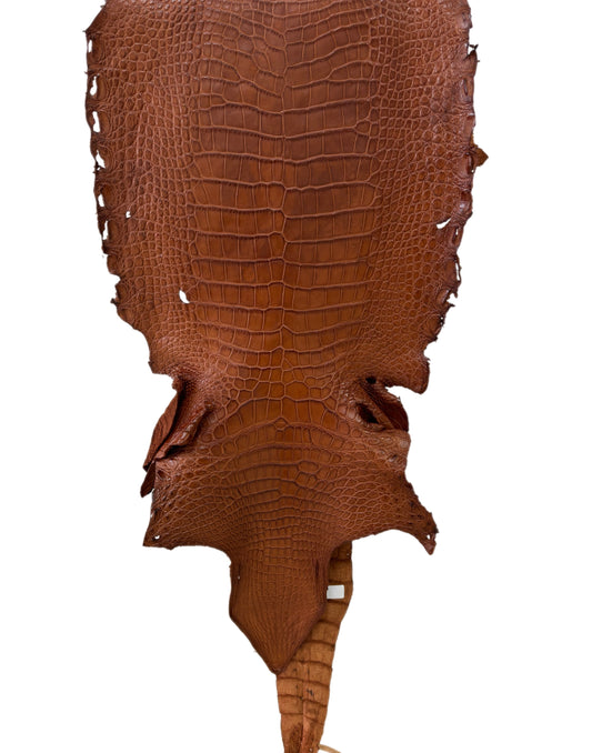 37 cm Grade 4/5 Cognac Matte Wild American Alligator Leather - Tag: LA23-0023834