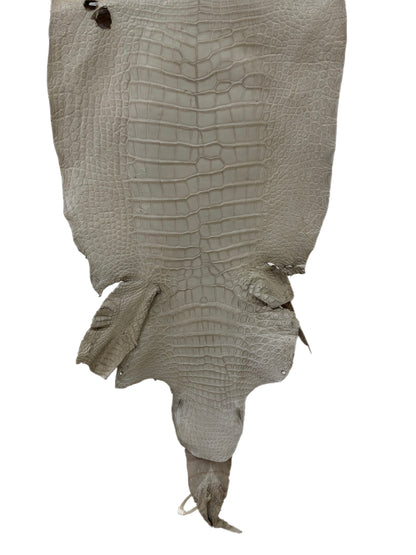 41 cm Grade 4/5 Stormy Matte Wild American Alligator Leather - Tag: LA23-0024528