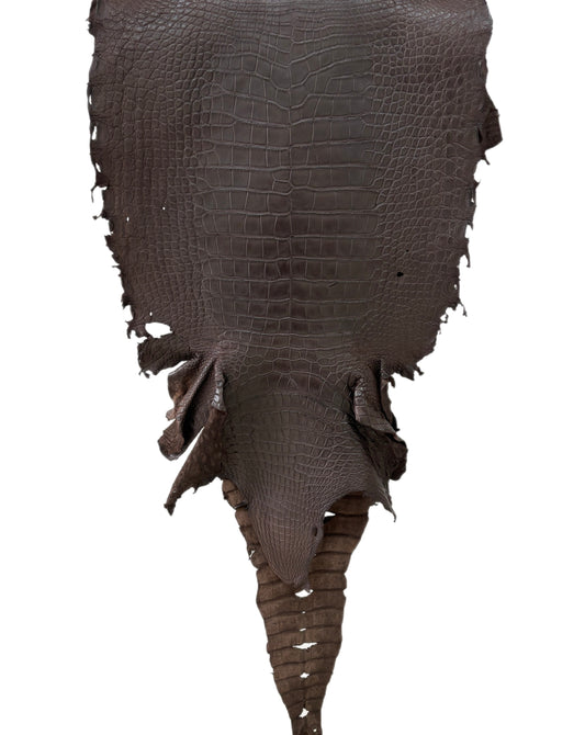 47 cm Grade 4/5 Dark Chocolate Matte Wild American Alligator Leather - Tag: LA23-0025372