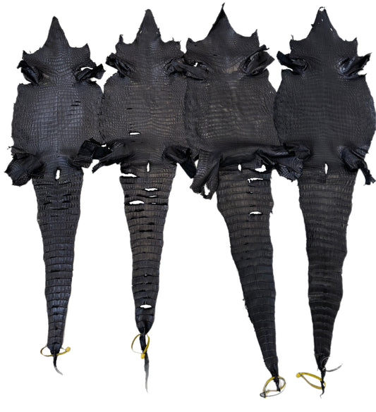 Oops Skins | 27-34 Cm Low Grade Black Matte Nile Crocodile