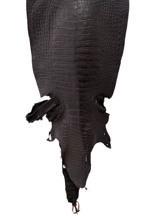 40 cm Grade 3/4 Black Matte Wild American Alligator Leather - Tag: FL24-0077507