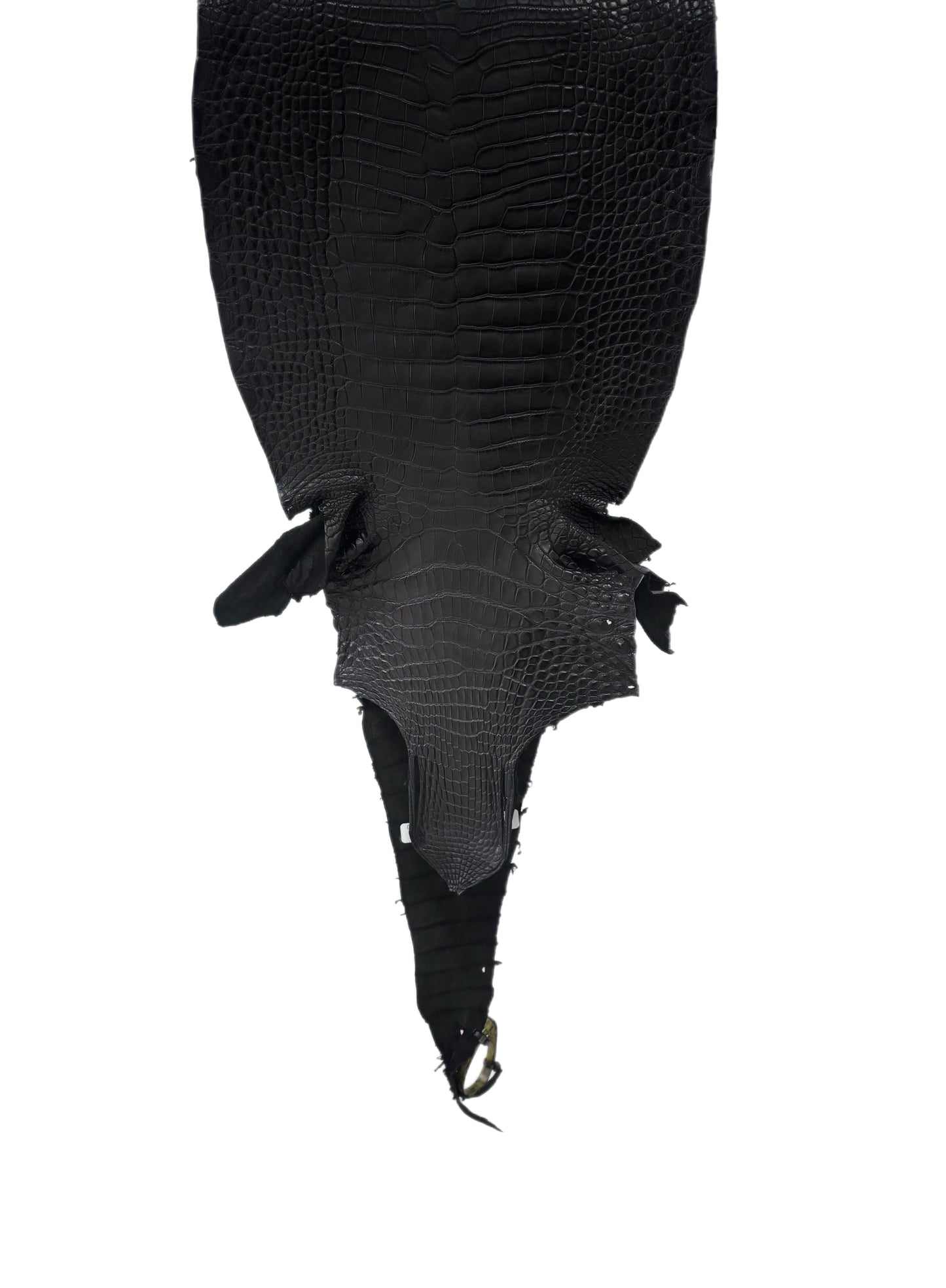 33 cm Grade 2/3 Black Matte Farm-Raised American Alligator Leather - Tag: LA25-0316203
