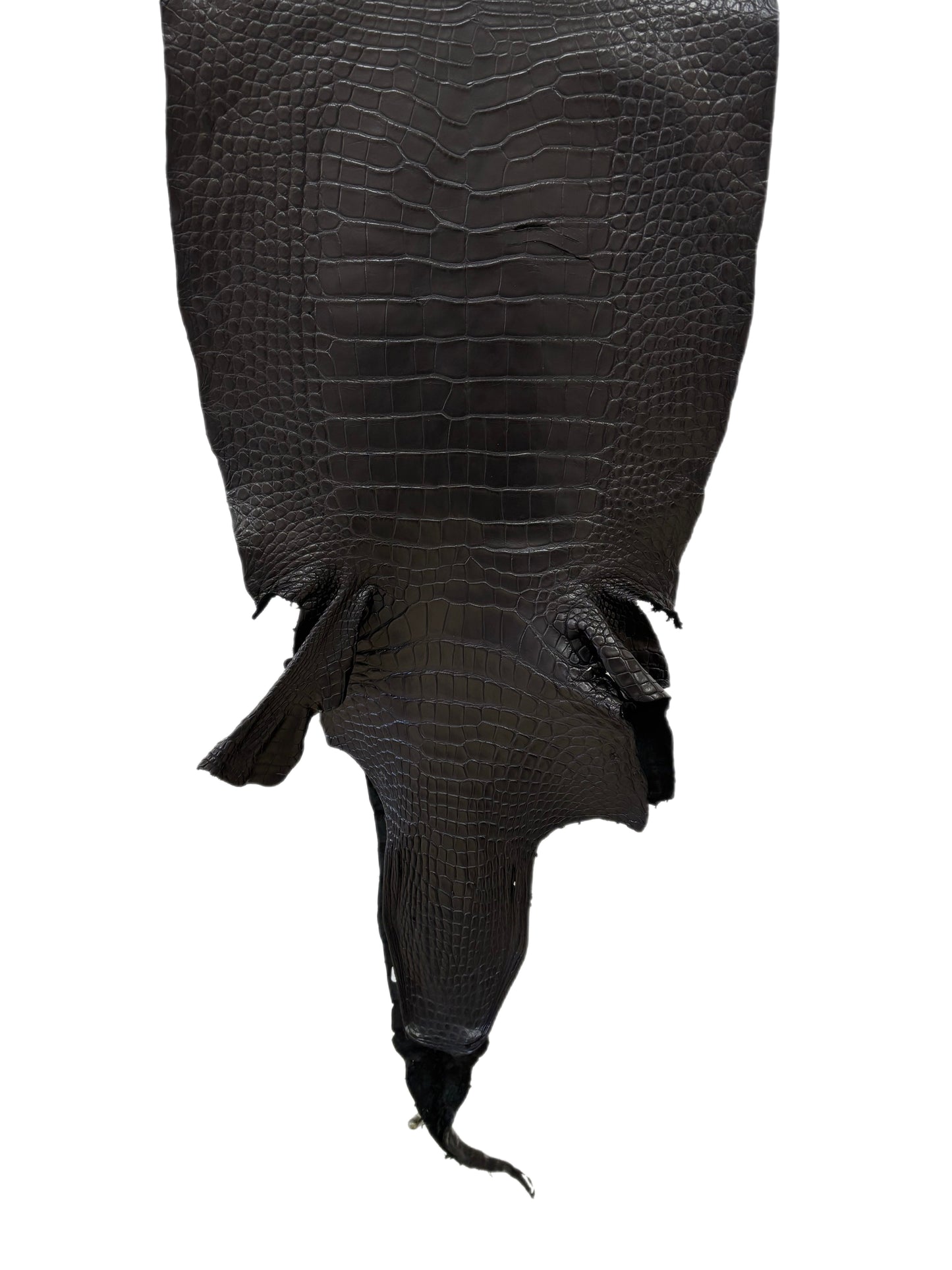 42 cm Grade 2/3 Black Matte Wild American Alligator Leather - Tag: LA16-0033690