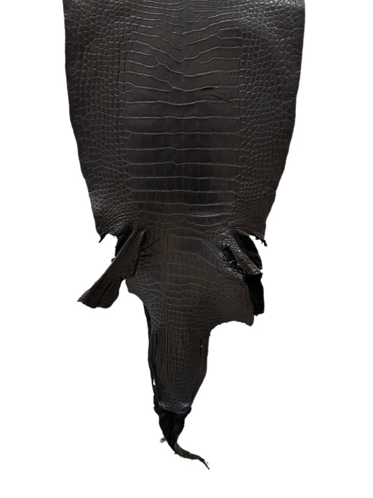 42 cm Grade 2/3 Black Matte Wild American Alligator Leather - Tag: LA16-0033690