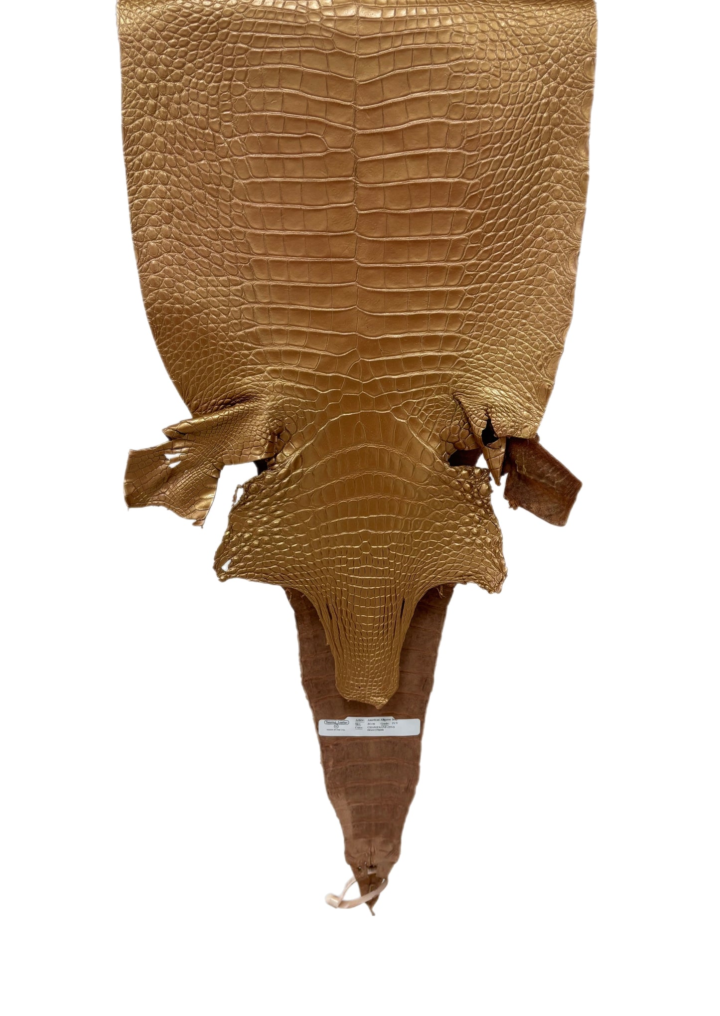 34 cm Grade 4/5 Champagne Metallic Matte Farm-Raised American Alligator Leather - Tag: FL17-0036997