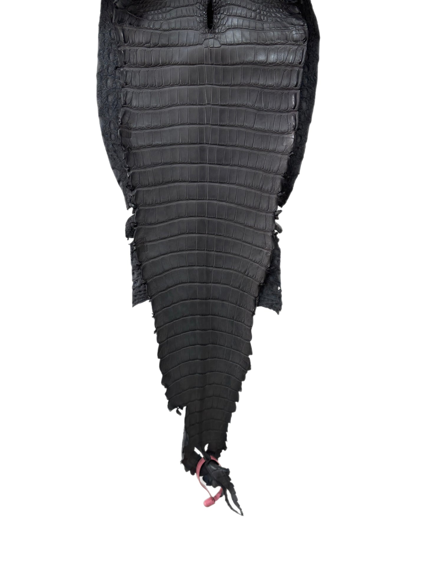 26 cm Grade 1/2 Serpentine Grey Matte Farm-Raised American Alligator Leather - Tag: FL21-0024858