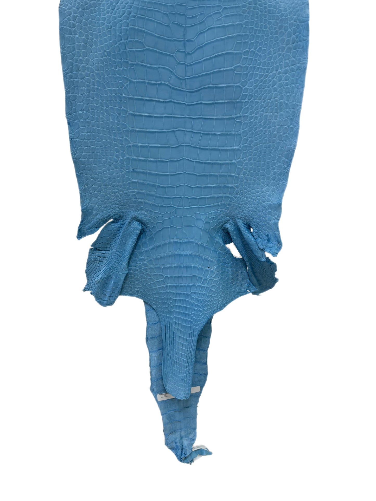 41 cm Grade 3/4 Sky Blue Matte Wild American Alligator Leather - Tag: LA23-0023860