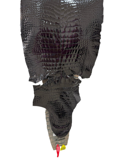 39 cm Grade 2/3 Black Glazed Wild American Alligator Leather - Tag: ITCC-0539898
