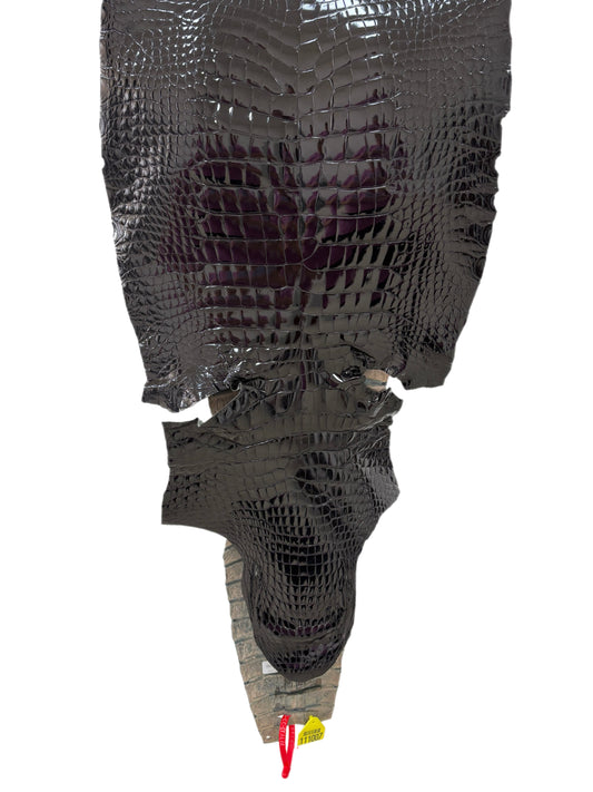 39 cm Grade 2/3 Black Glazed Wild American Alligator Leather - Tag: ITCC-0539898