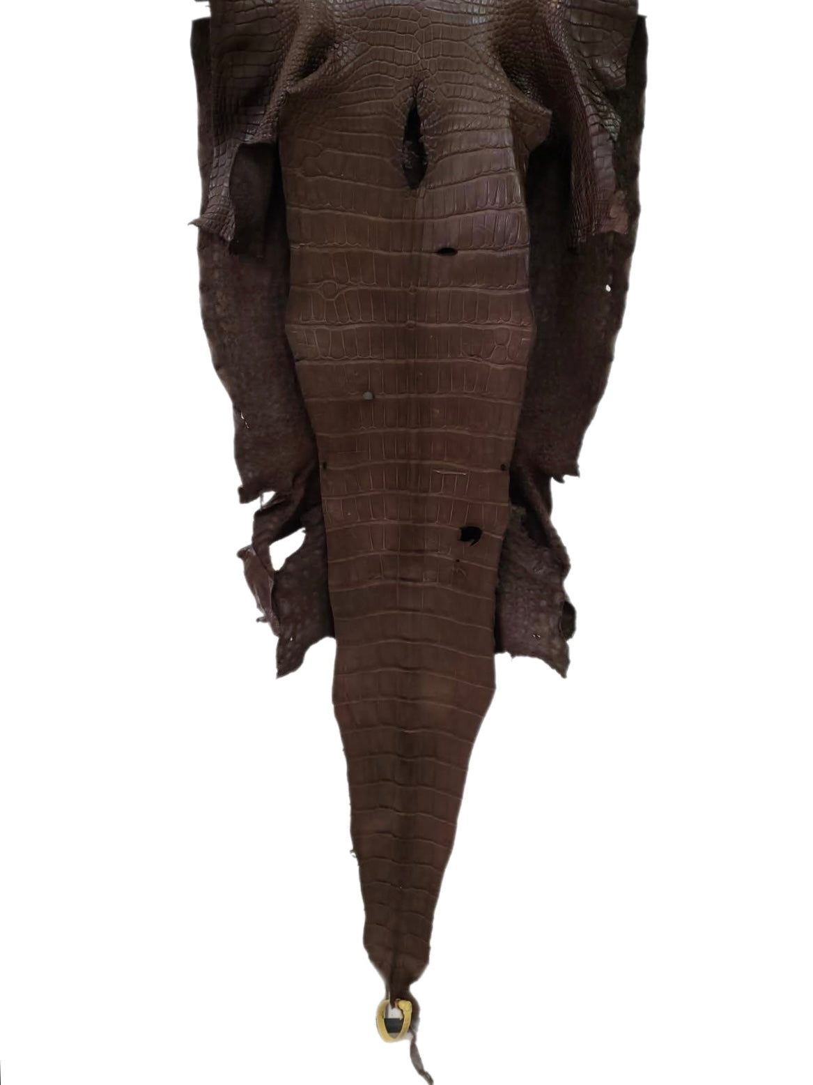 45 cm Grade 3/4 Miller Matte Wild American Alligator Leather - Tag: LA23-0025795