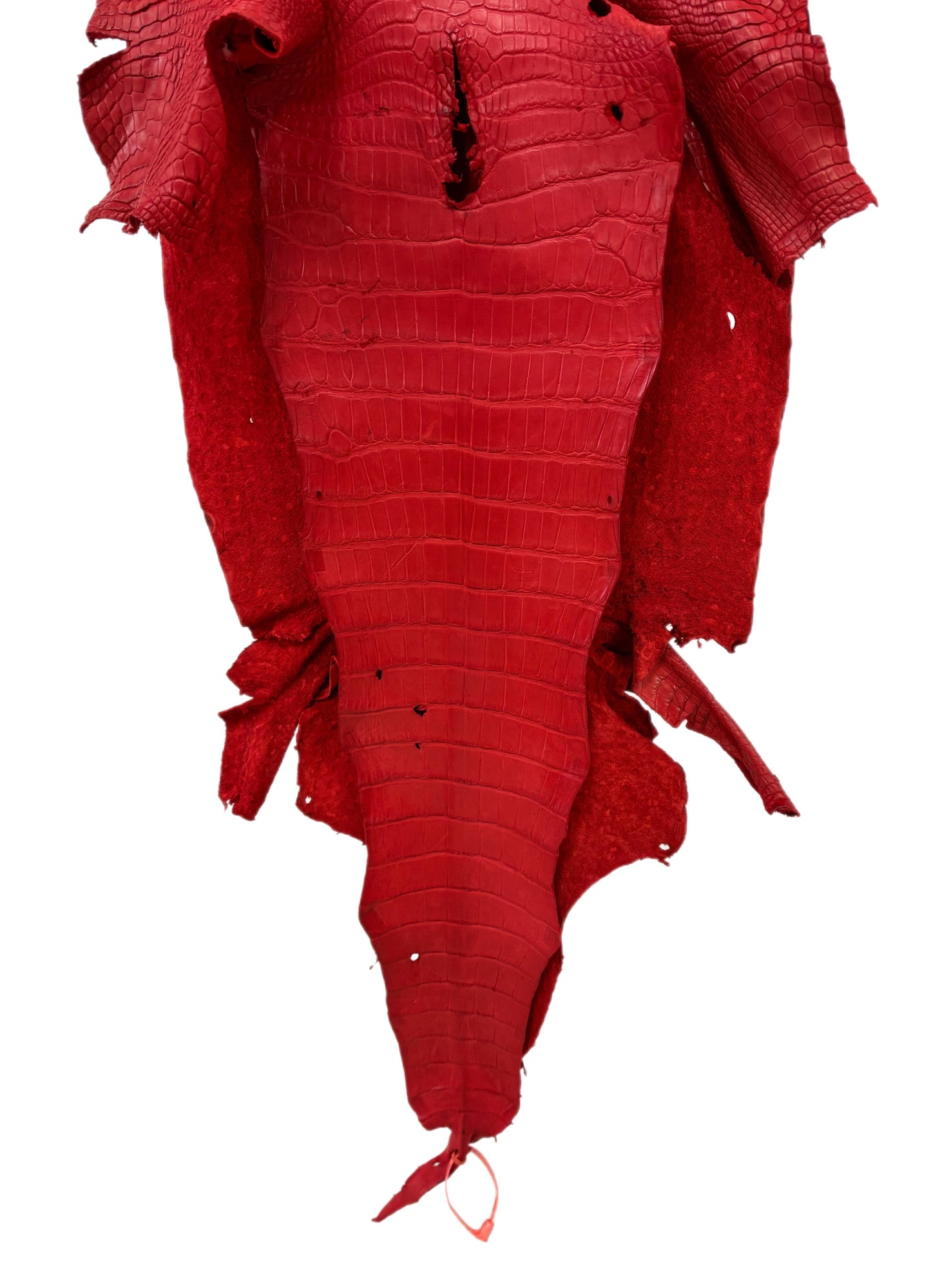 42 cm Grade 3/4 Candy Apple Red Matte Wild American Alligator Leather - Tag: LA24-0039956
