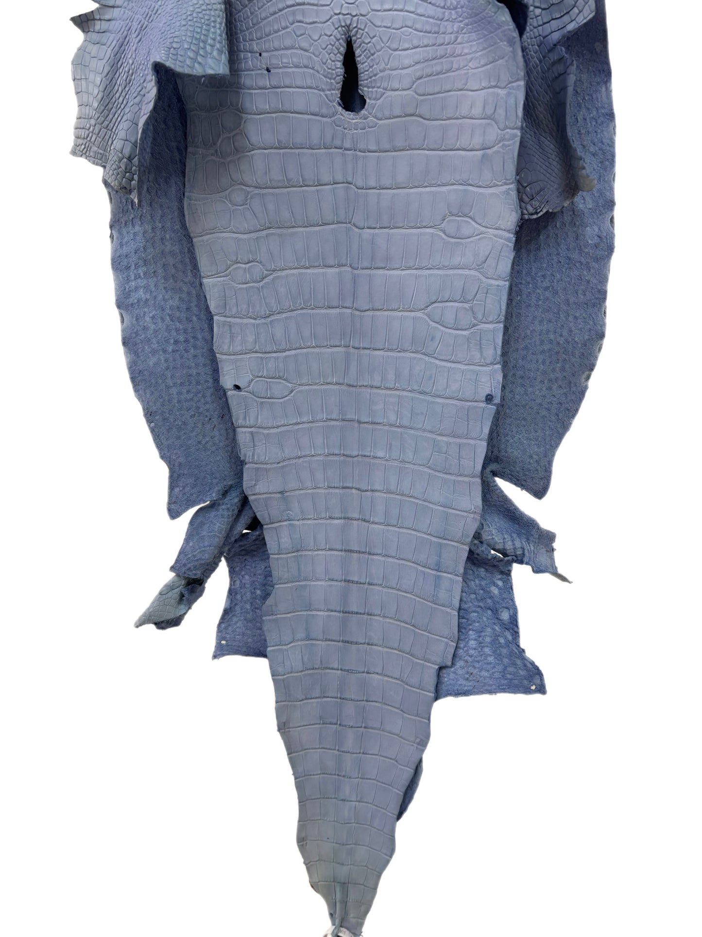 43 cm Grade 3/4 Carolina Blue Matte Wild American Alligator Leather - Tag: LA23-0048537