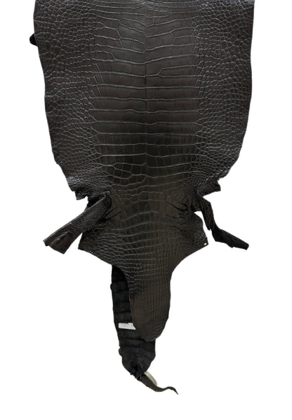 43 cm Grade 2/3 Black Matte Wild American Alligator Leather - Tag: LA23-0003636