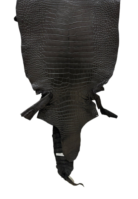 43 cm Grade 2/3 Black Matte Wild American Alligator Leather - Tag: LA23-0003636
