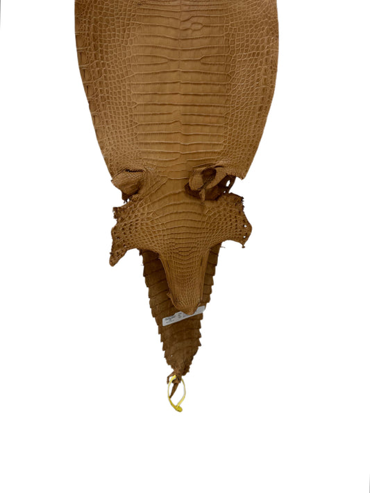 29 cm Grade 2/3 Antique Saddle Matte Farm-Raised American Alligator Leather - Tag: FL22-0030066