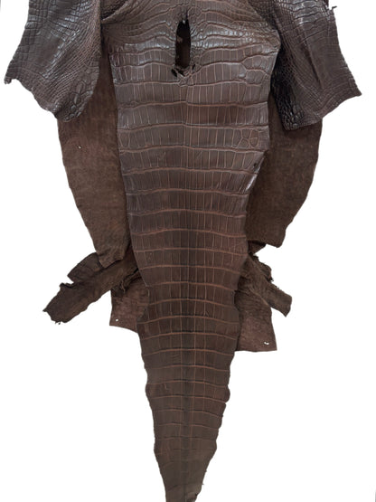 40 cm Grade 3/4 Chocolate Matte Wild American Alligator Leather - Tag: LA23-0027405