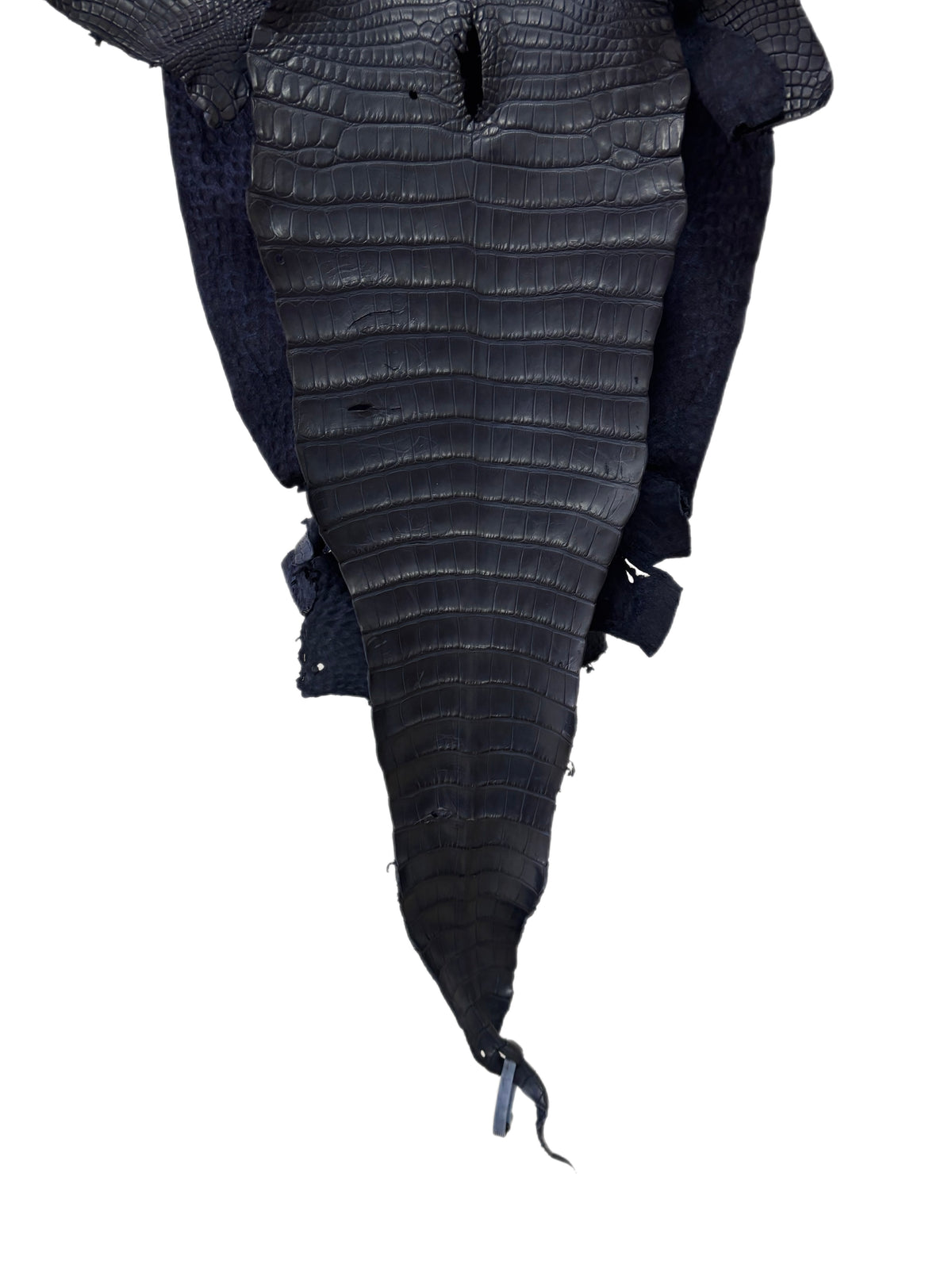 36 cm Grade 1/2 Navy Blue Matte Farm-Raised American Alligator Leather - Tag: FL17-0035757