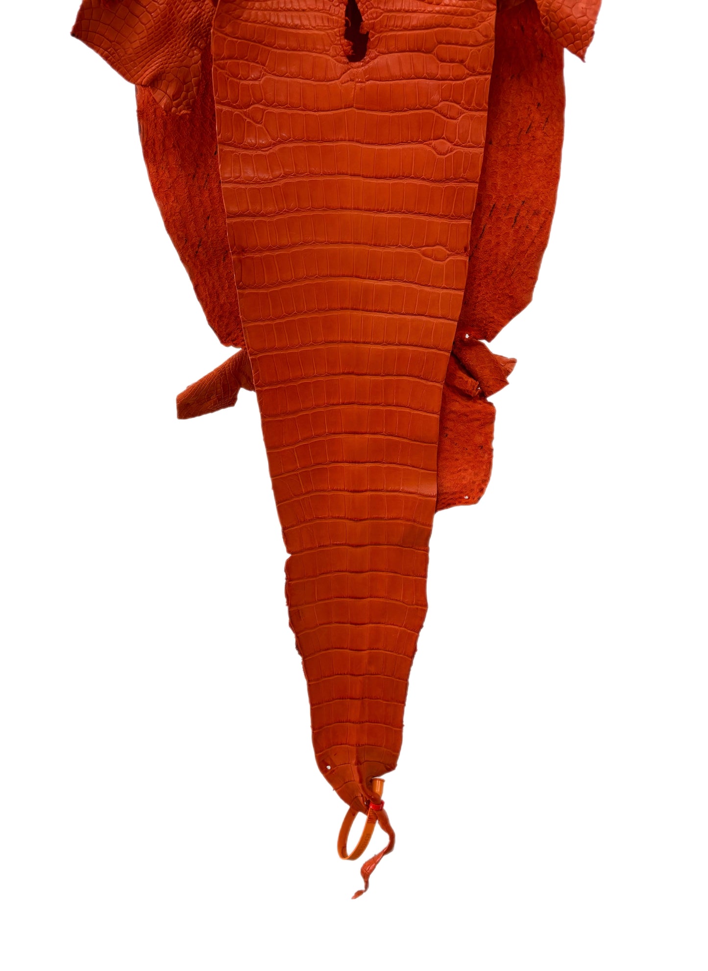 31 cm Grade 1/2 Orange Primavera Matte Farm-Raised American Alligator Leather - Tag: LA23-0531425