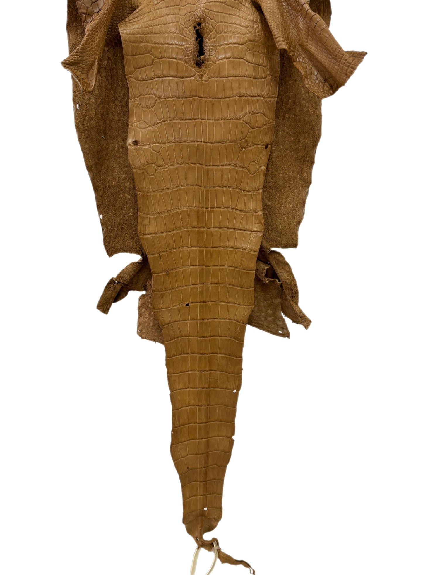 35 cm Grade 2/3 Antique Saddle Matte Wild American Alligator Leather - Tag: LA23-0002181