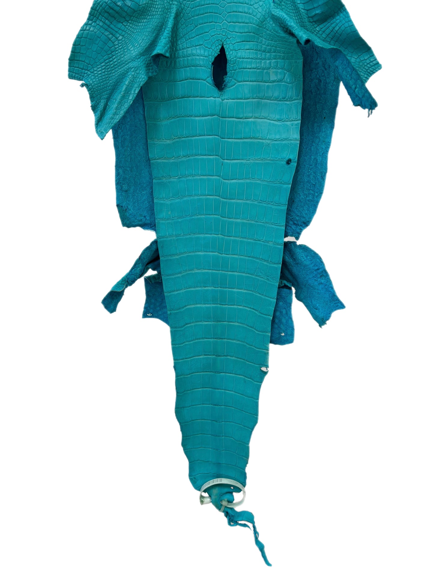 28 cm Grade 2/3 Turquoise Matte Wild American Alligator Leather - Tag: LA23-0038908