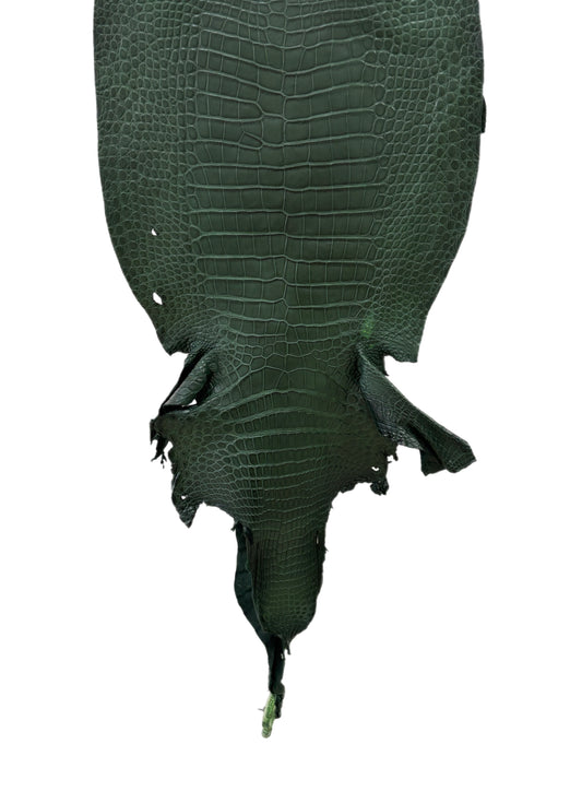 36 cm Grade 2/3 Forest Green Matte Wild American Alligator Leather - Tag: LA23-0003439