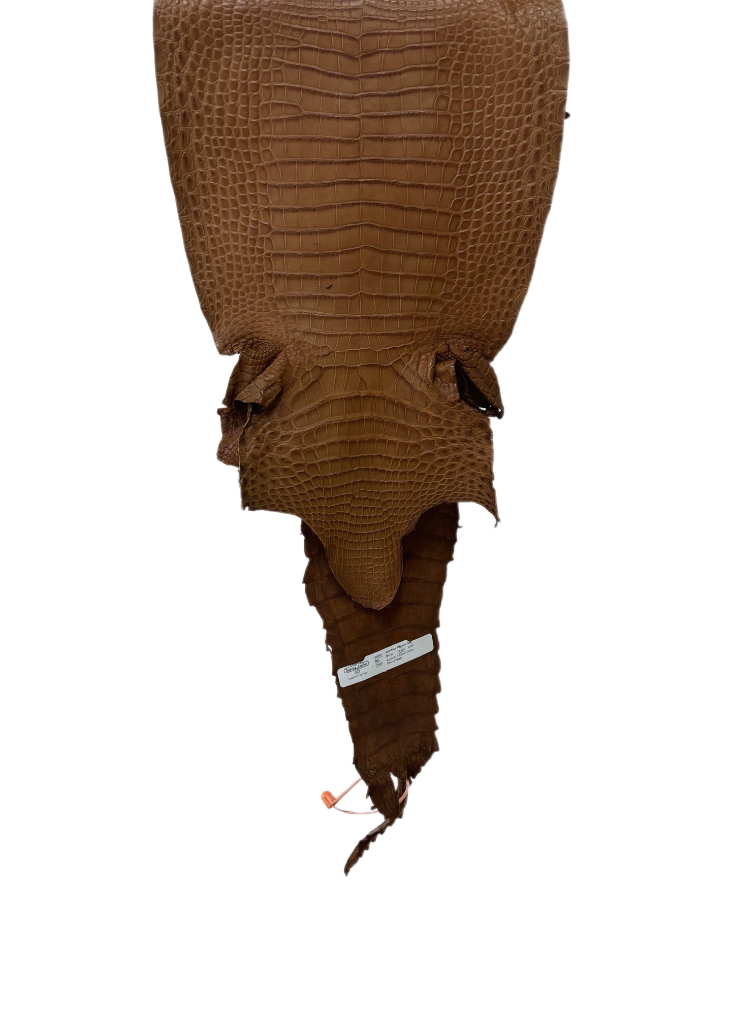 28 cm Grade 2/3 Kango Tabac Matte Farm-Raised American Alligator Leather - Tag: FL21-0024139