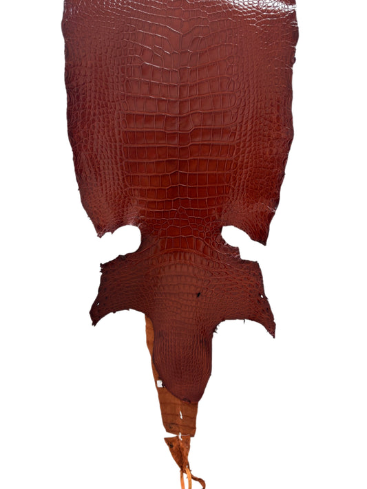40 cm Grade 1/2 Peanut Millennium Wild American Alligator Leather - Tag: LA18-0013382