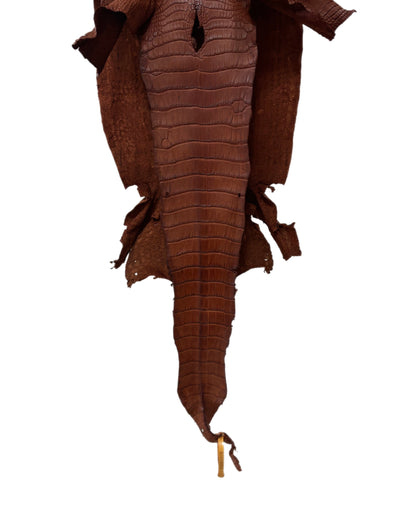 33 cm Grade 3/4 Rustic Cognac Matte Wild American Alligator Leather - Tag: LA23-0050921