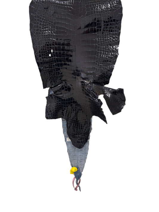 30 cm Grade 3/4 Navy Blue Glazed Wild American Alligator Leather - Tag: LA15-0039429