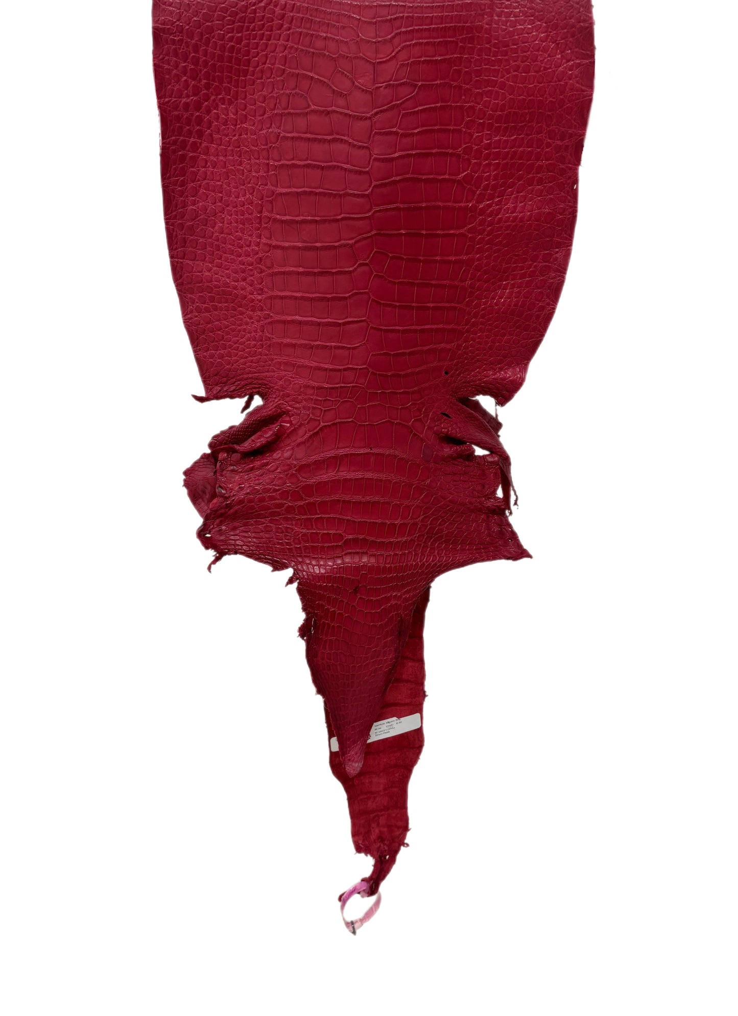 36 cm Grade 2/3 Scarlet Matte Wild American Alligator Leather - Tag: LA23-0049939