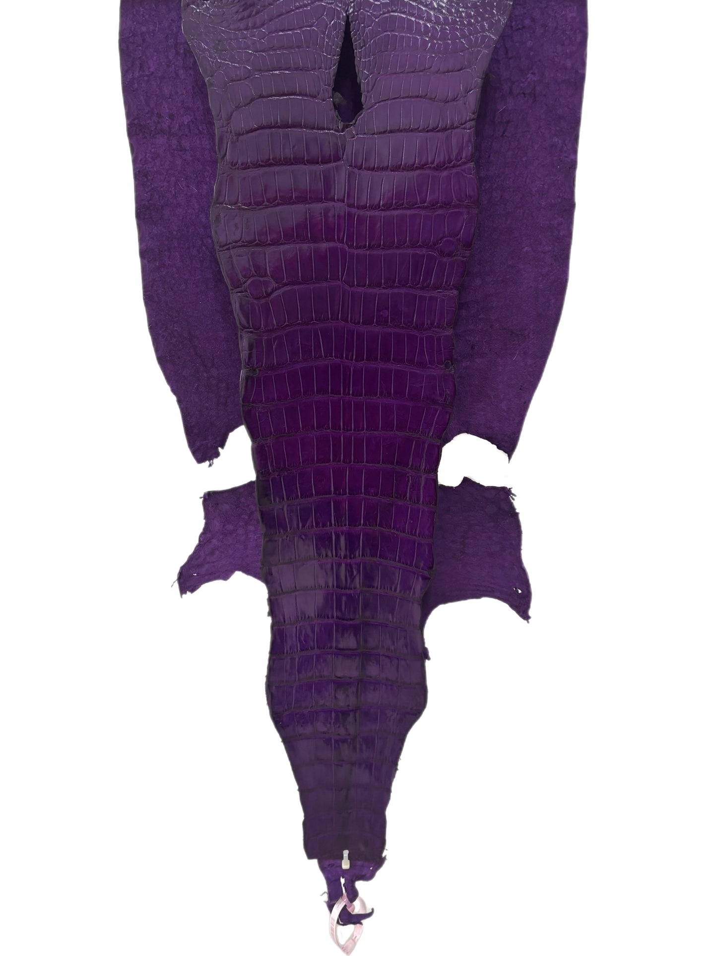 38 cm Grade 2/3 Violet Millennium Wild American Alligator Leather - Tag: LA23-0027736