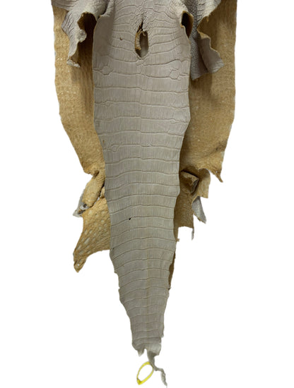 41 cm Grade 2/3 Dune Matte Wild American Alligator Leather - Tag: LA25-0001655