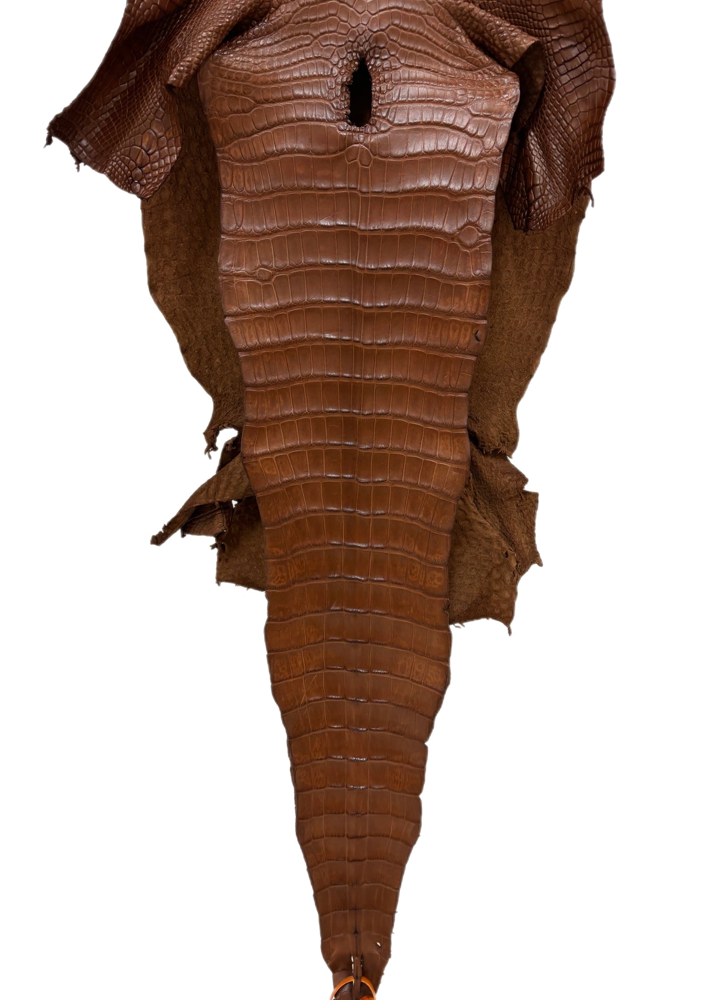 35 cm Grade 1/2 Cigar Matte Wild American Alligator Leather - Tag: LA17-0035380