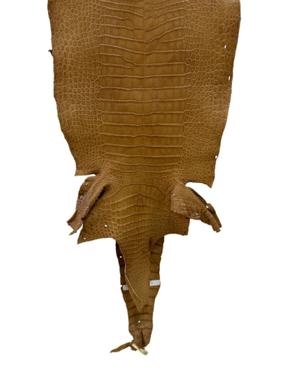 35 cm Grade 2/3 Antique Saddle Matte Wild American Alligator Leather - Tag: LA23-0002181