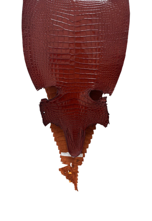36 cm Grade 1/2 Peanut Millennium Farm-Raised American Alligator Leather - Tag: FL17-0052985