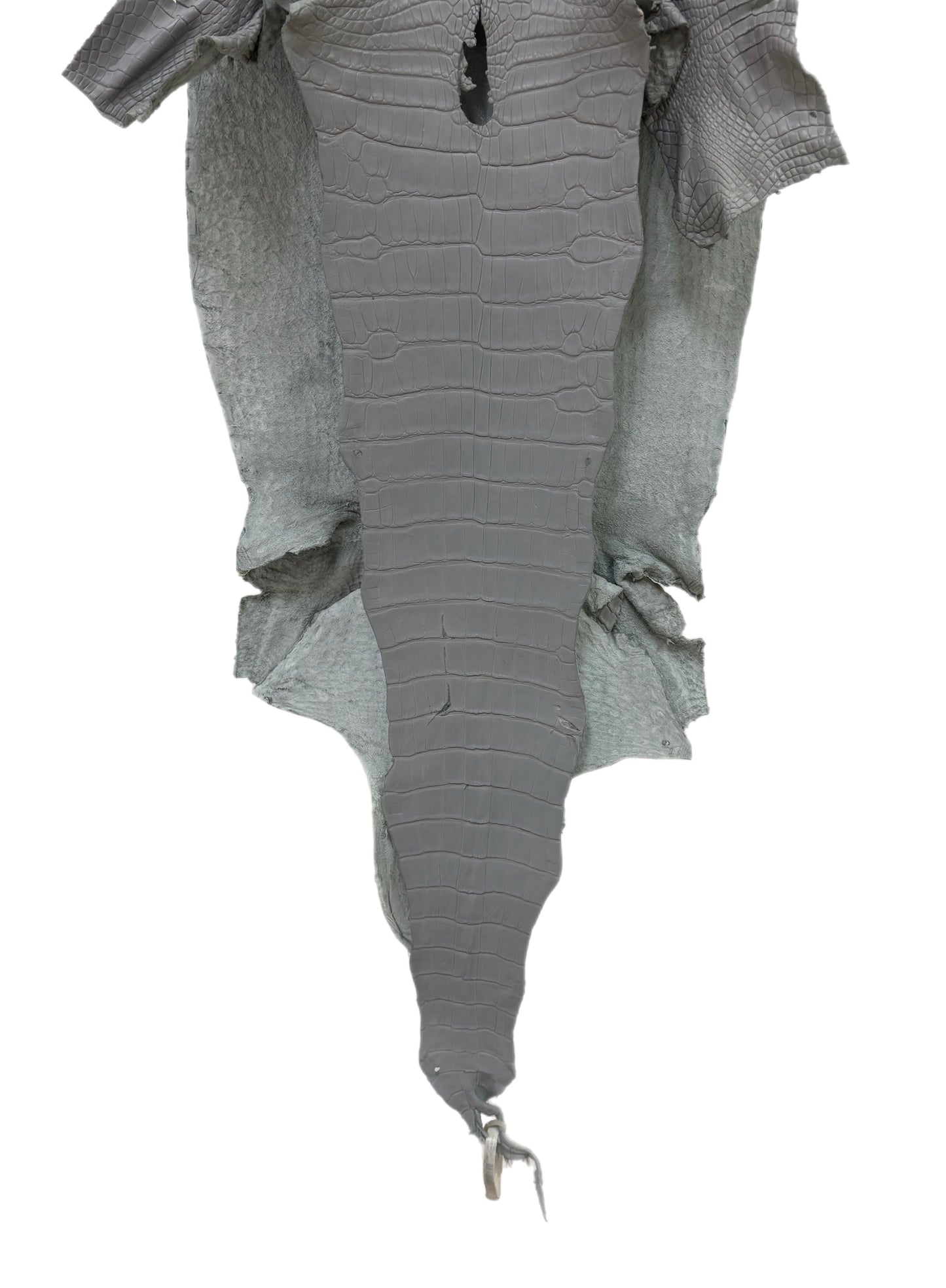 37 cm Grade 3/4 Glacier Matte Wild American Alligator Leather - Tag: LA23-0027755