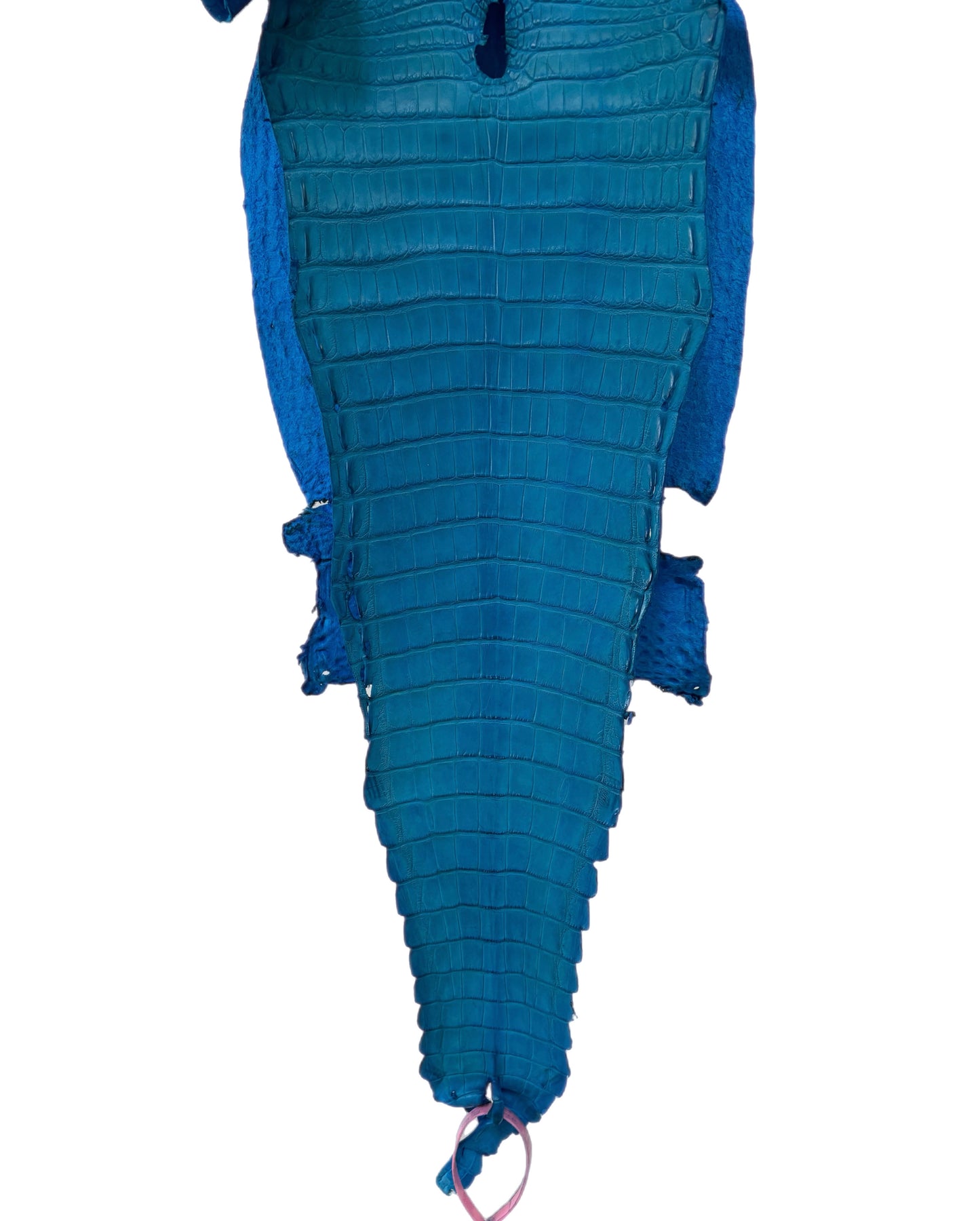 25 cm Grade 2/3 Ultramarine Matte Farm-Raised American Alligator Leather - Tag: FL21-0024651