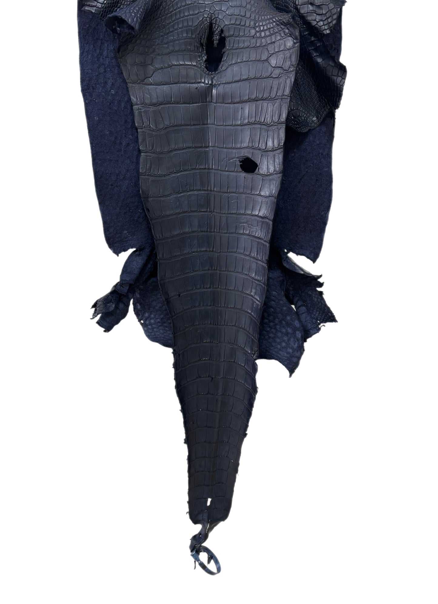 38 cm Grade 2/3 Navy Blue Matte Wild American Alligator Leather - Tag: LA23-0003625