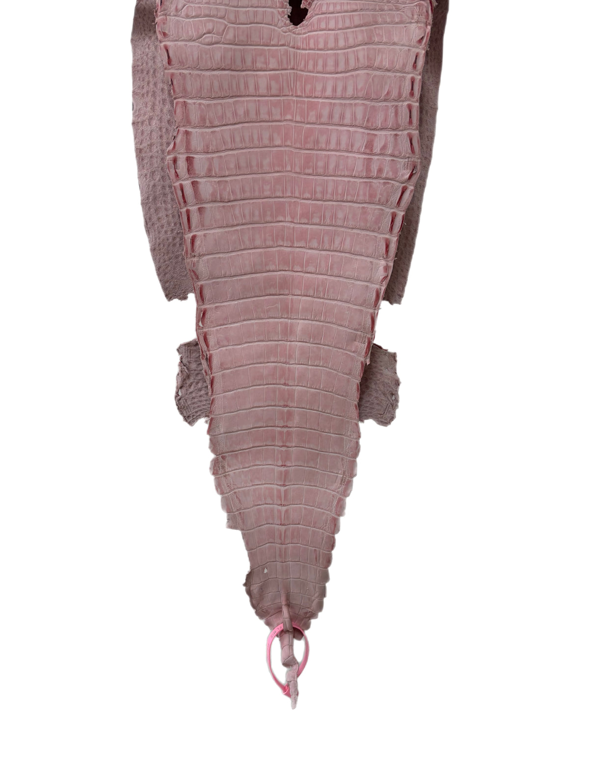 New Color and Finish! 28 cm Grade 1/2 Light Pink Nubuck Farm-Raised American Alligator Leather - Tag: FL21-0024650