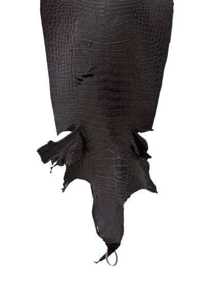 36 cm Grade 3/4 Black Matte Wild American Alligator Leather - Tag: FL24-0077537