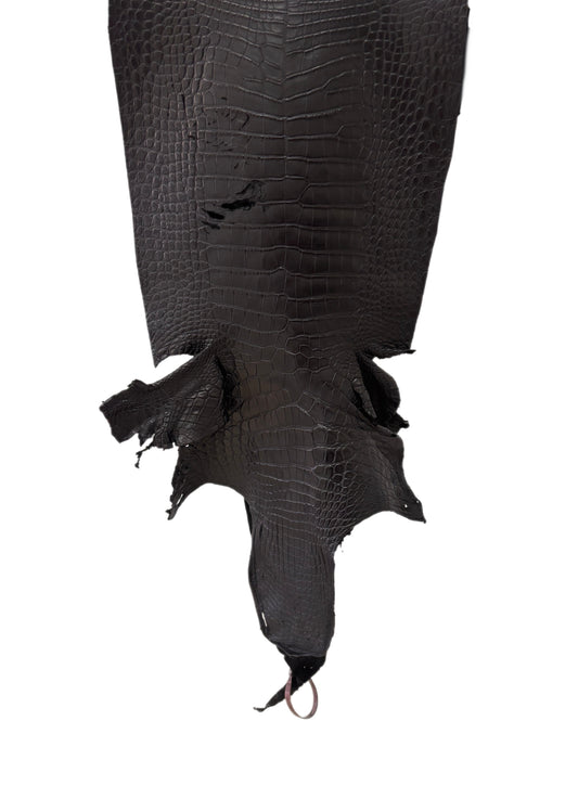 36 cm Grade 3/4 Black Matte Wild American Alligator Leather - Tag: FL24-0077537