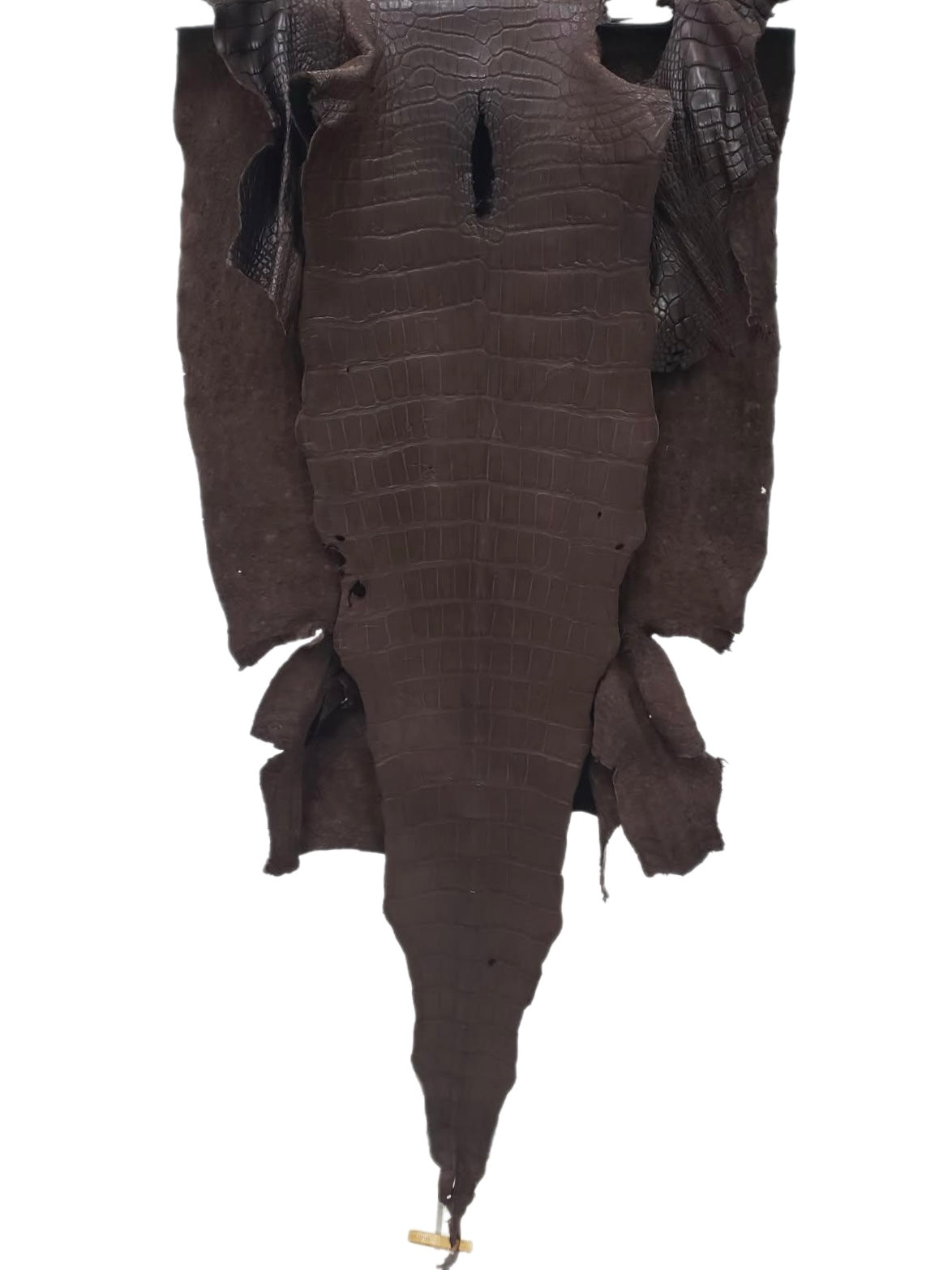 52 cm Grade 4/5 Chocolate Matte Wild American Alligator Leather - Tag: LA23-0027155