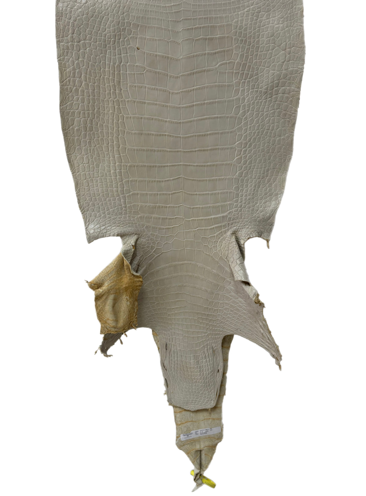 42 cm Grade 2/3 Dune Matte Wild American Alligator Leather - Tag: LA25-0037210