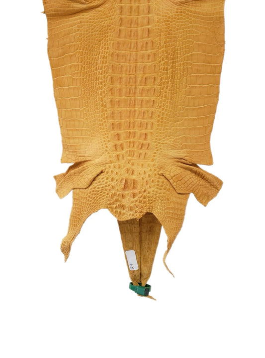 29 cm Grade 2/3 Buttercup Matte Farm-Raised American Alligator Hornback Leather - Tag: LA00-0243645