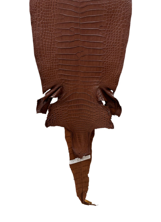 32 cm Grade 2/3 Rodeo Matte Farm-Raised American Alligator Leather - Tag: FL17-0036195