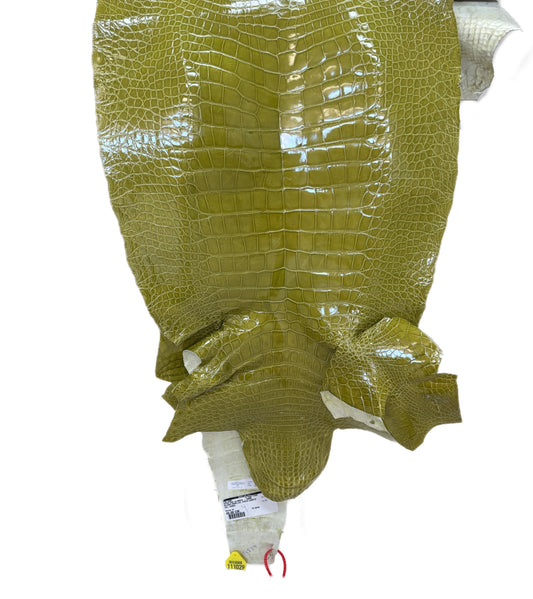 CLOSEOUT | 45 cm Grade 3/4 Muguet Glazed Wild American Alligator Leather - Tag: CCIT-0539944