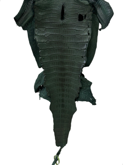 37 cm Grade 3/4 Forest Green Matte Wild American Alligator Leather - Tag: LA23-0002127